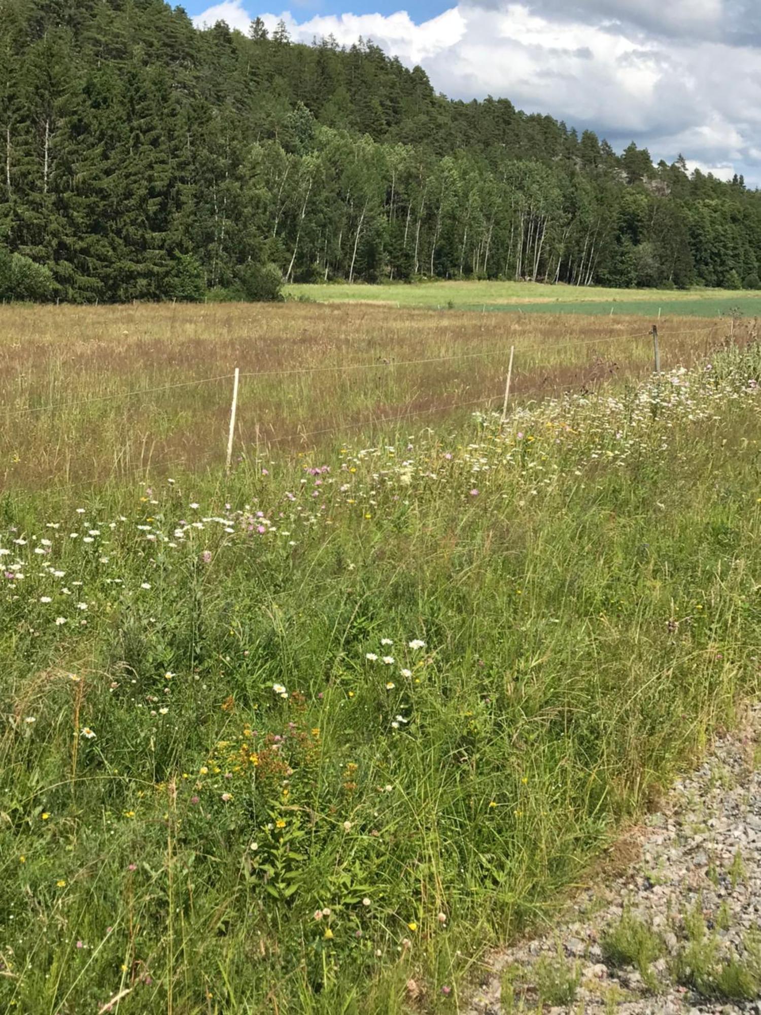 Charmigt Aeldre Hus, Laddbox 22 Kw, 5 Bil-Minuter Till Bad Strömstad Εξωτερικό φωτογραφία